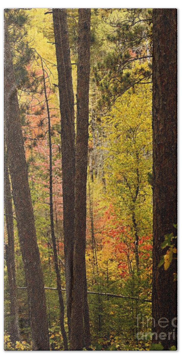 Landscape Bath Towel featuring the photograph Autumn in Hiding by Larry Ricker