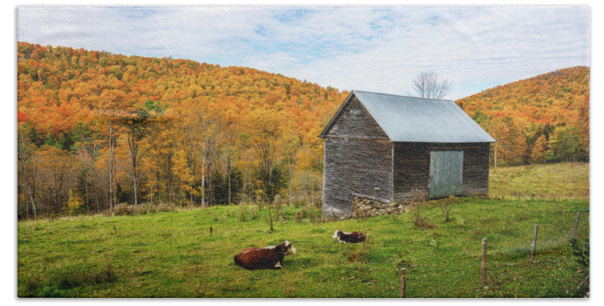 Fall Bath Towel featuring the photograph Autumn in Vermont in the Woodstock Countryside 2 by Ron Long Ltd Photography