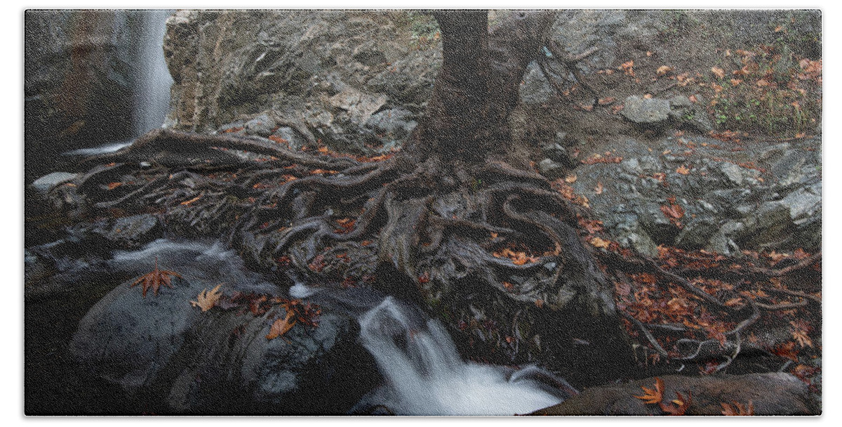 Autumn Bath Towel featuring the photograph Autumn landscape in the river by Michalakis Ppalis