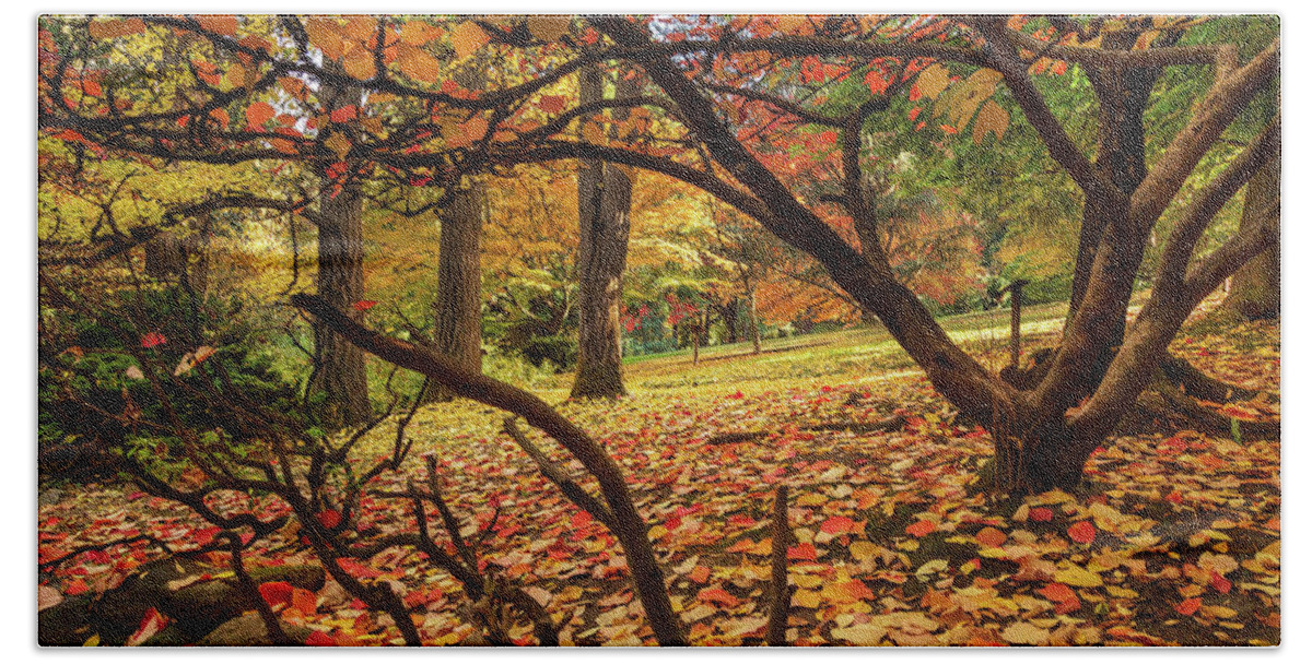 Autumn Bath Towel featuring the photograph Autumn Leaves In Ashland by James Eddy