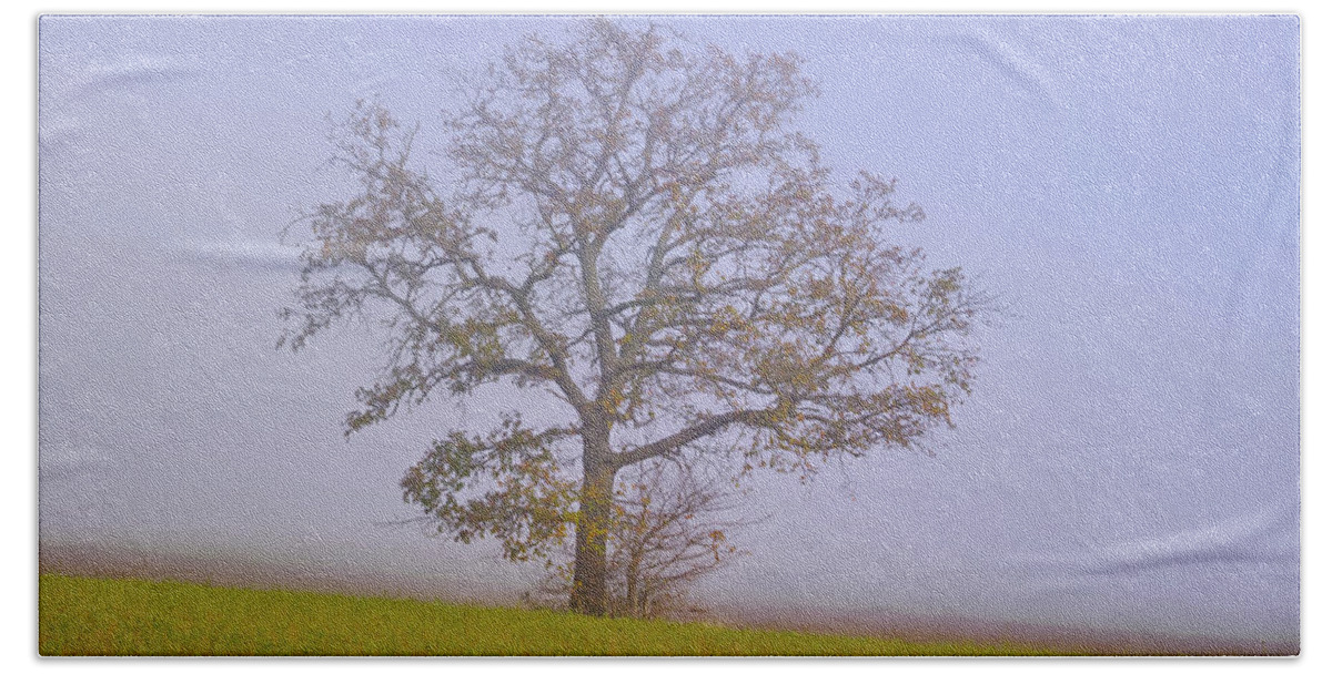 Landscape Hand Towel featuring the photograph Autumn mist by Karine GADRE