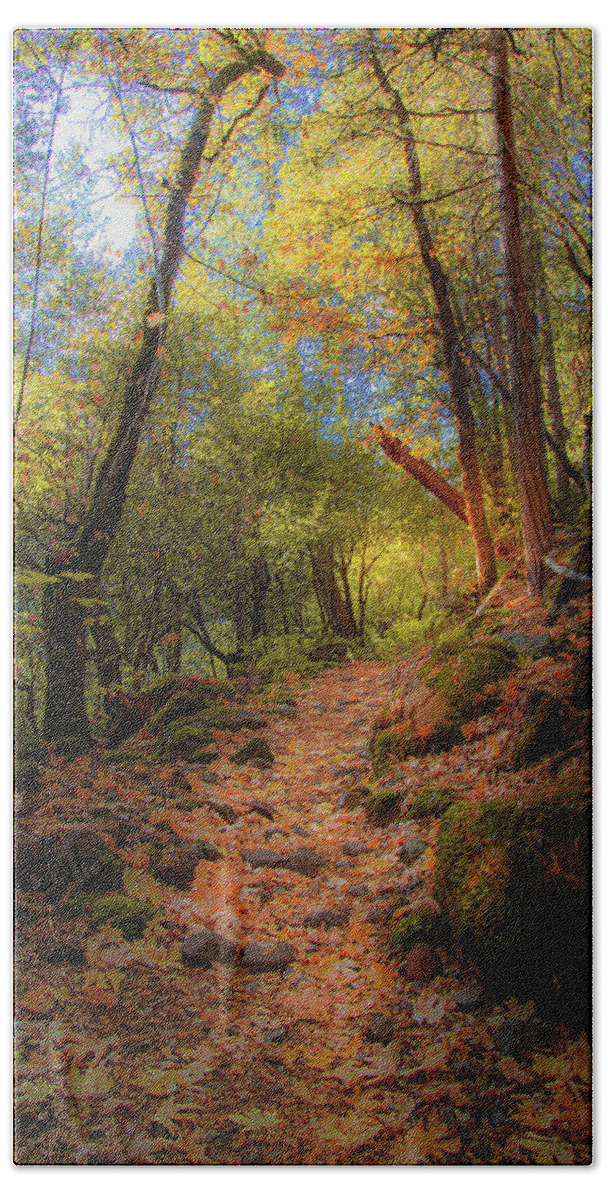 Hiking Hand Towel featuring the photograph Autumn on the Trail by Mike Lee