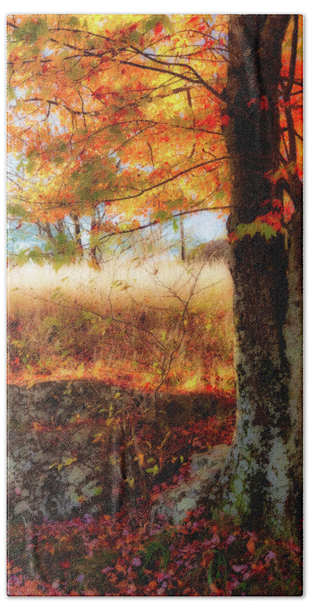 Fall Bath Towel featuring the photograph Autumn Shade Beneath the Tree fx by Dan Carmichael