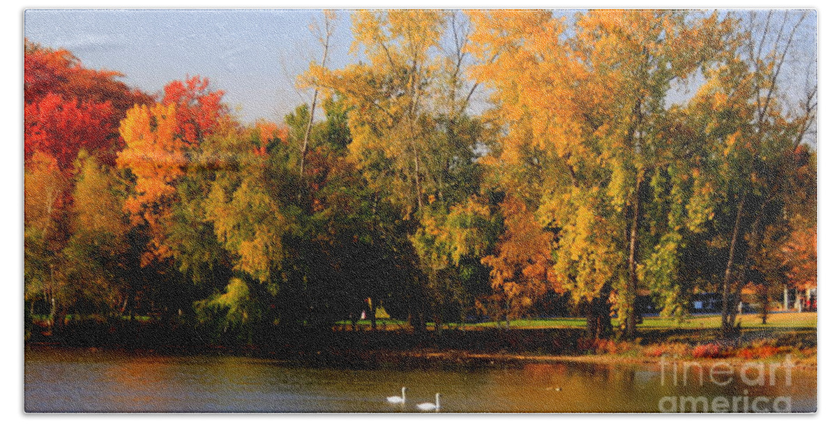 Fall Hand Towel featuring the photograph Autumn splendor with swans by Lennie Malvone