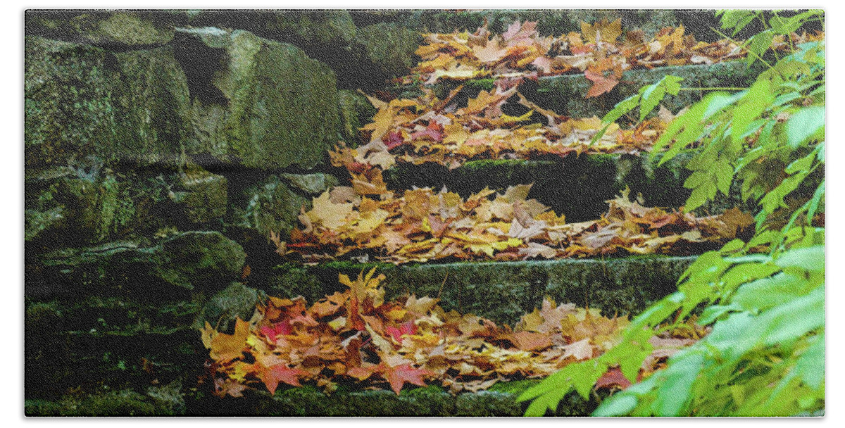 Autumn Fall Season Stairs Stairway Leaves Stone Nature Outdoors Cemetery Hand Towel featuring the photograph Autumn stairway by Bruce Carpenter