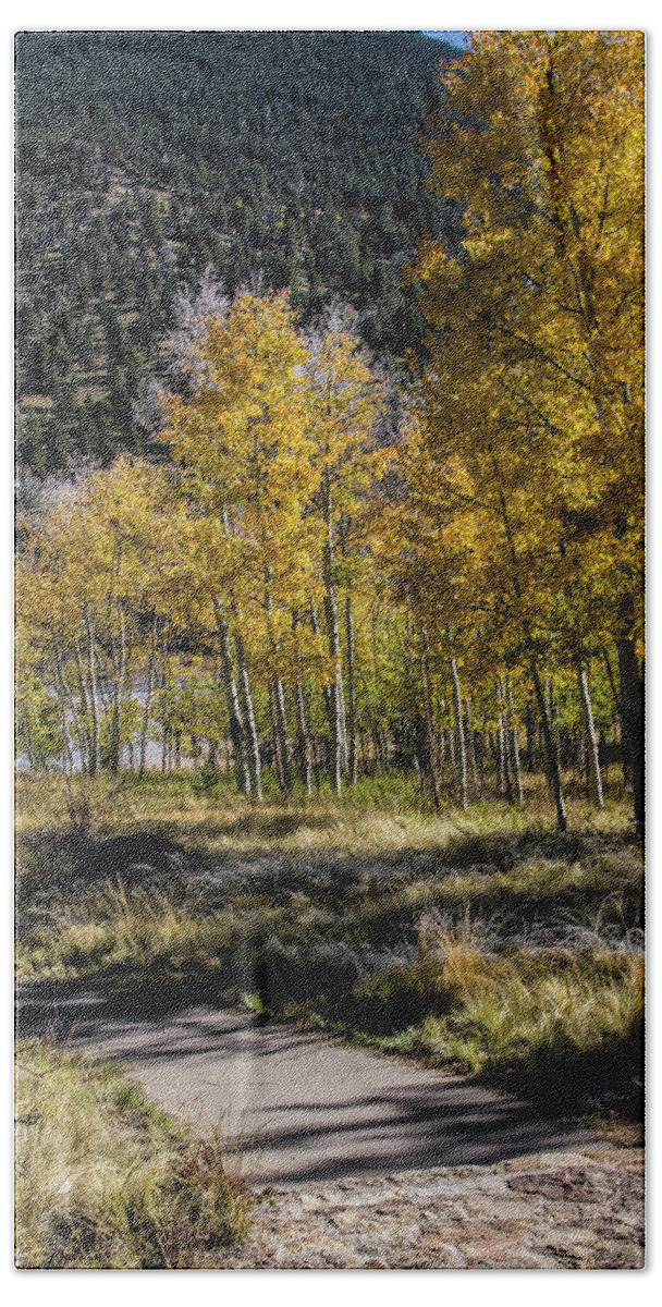 Autumn Hand Towel featuring the photograph Autumn Stroll by Alana Thrower