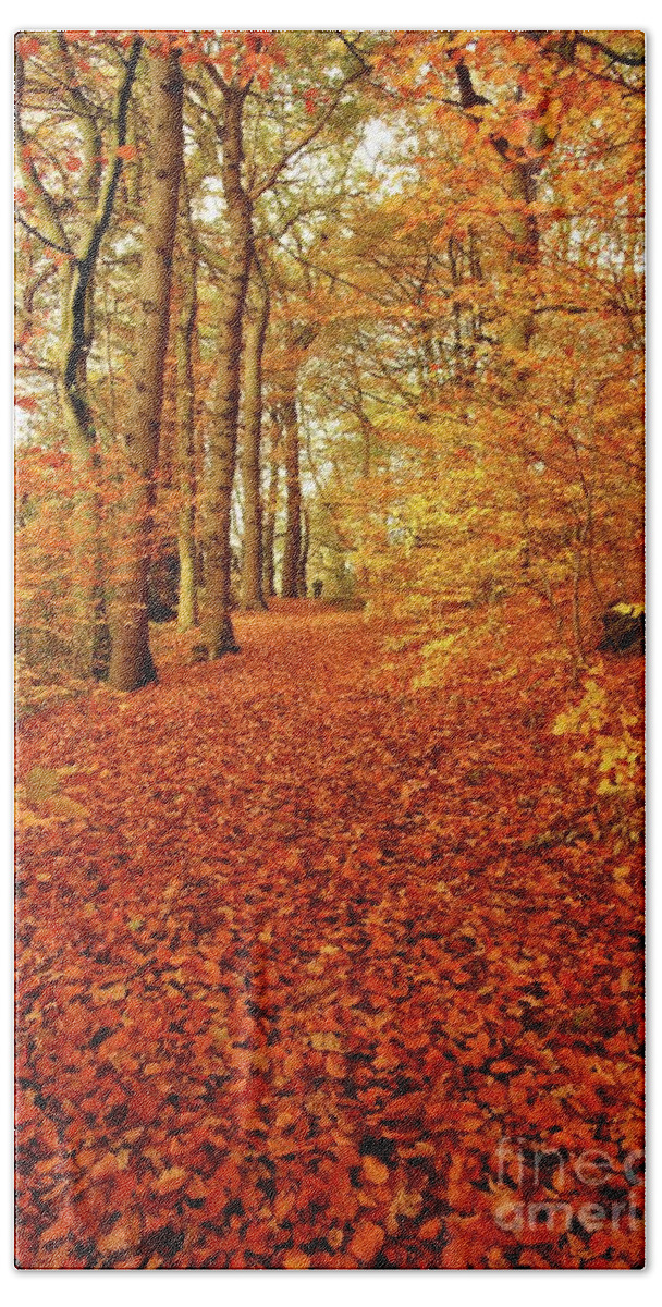 Autumn Hand Towel featuring the photograph Autumn woodland in Derbyshire by David Birchall