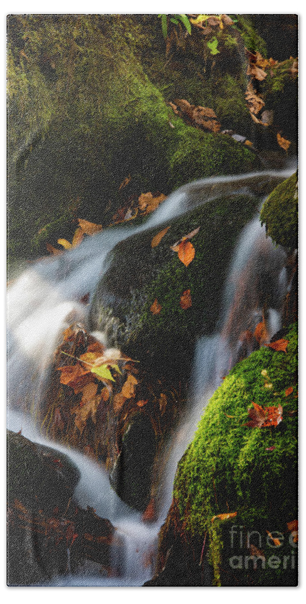 Brook Hand Towel featuring the photograph Autumn's Droppings by Nicki McManus