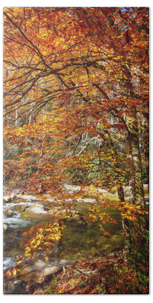 Carolina Bath Towel featuring the photograph Autumn's Fire along the Creek by Debra and Dave Vanderlaan