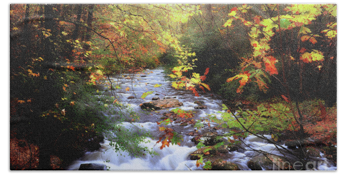 Fall Colors Hand Towel featuring the photograph Autumn's Glory by Rick Lipscomb
