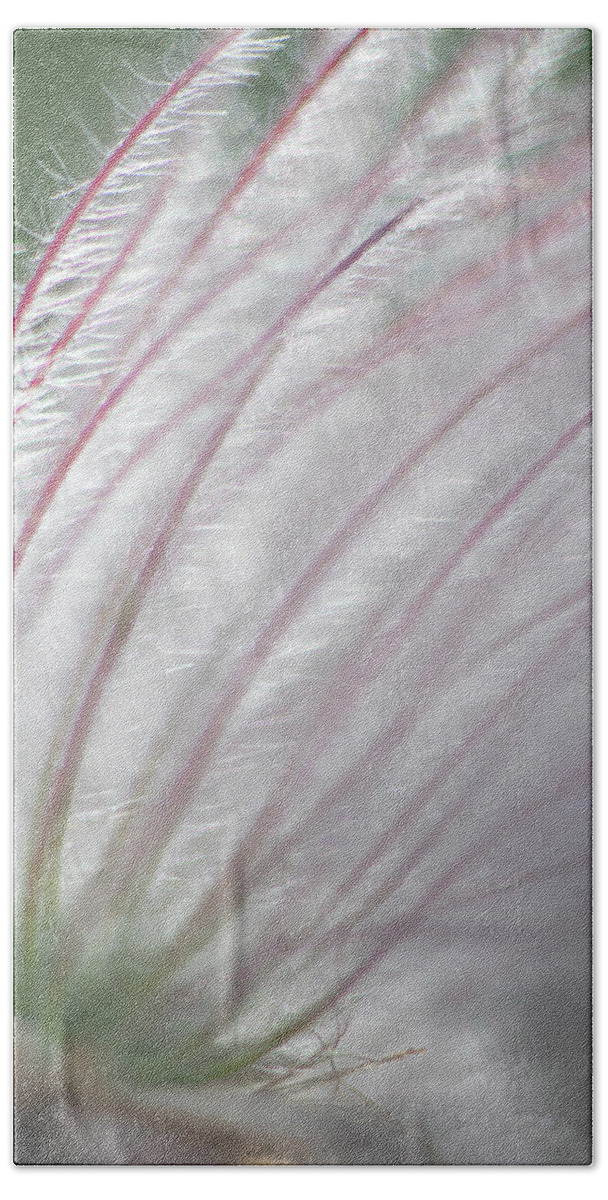 Avens Bath Towel featuring the photograph Avens Abstract by Karen Rispin