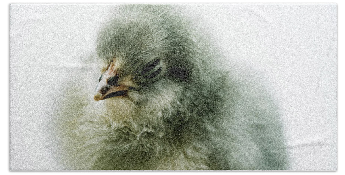Chick Hand Towel featuring the photograph Baby Chick Sleeping by Ada Weyland