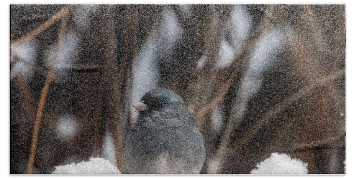 Junco Bath Towel featuring the photograph Baby, it's Cold Outside by Laura Putman