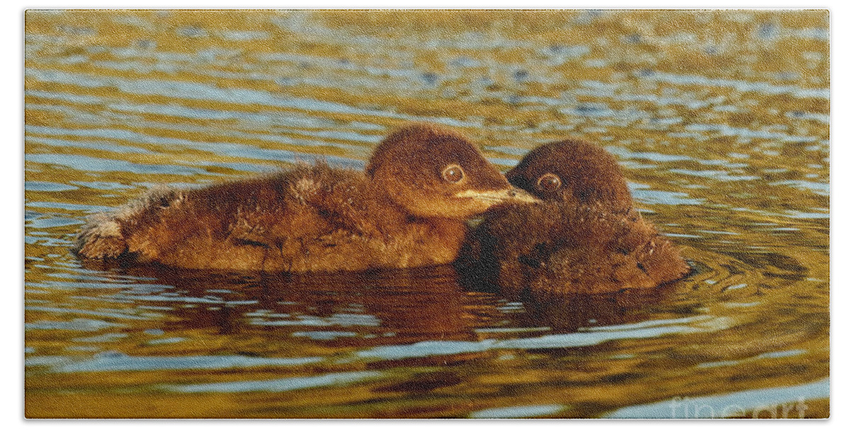 Loon Bath Towel featuring the photograph Baby loons by Heather King