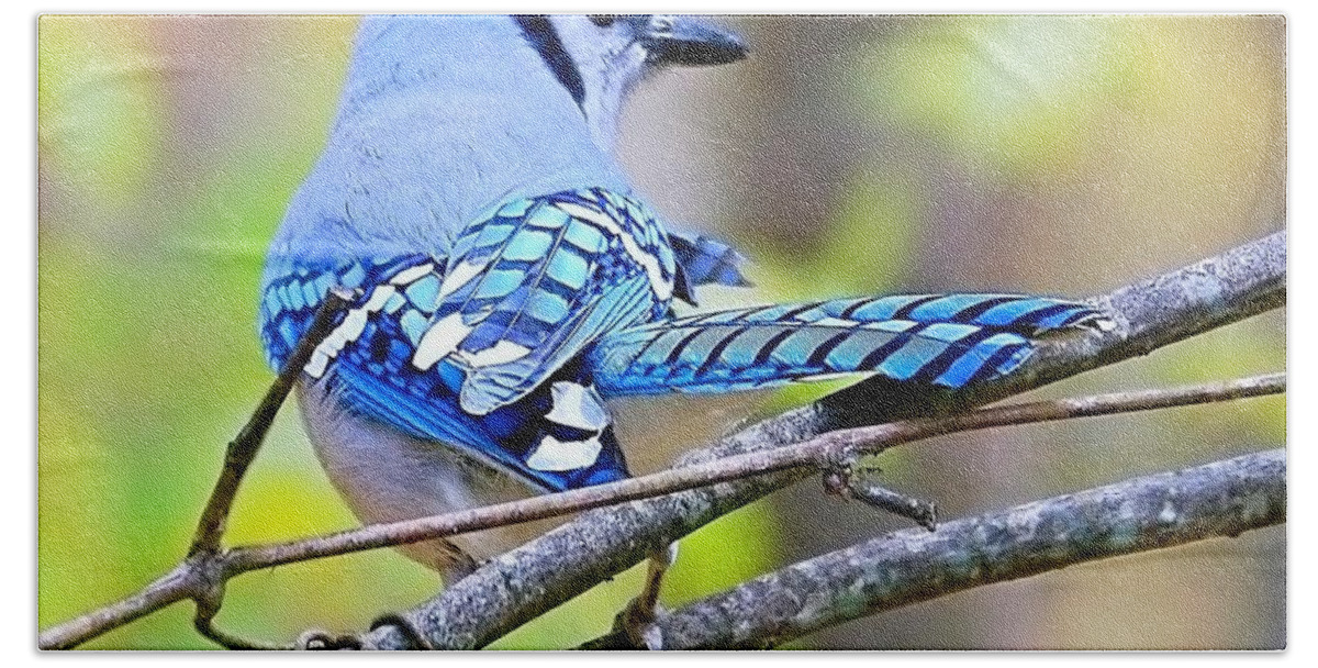 Blue Jay Hand Towel featuring the photograph Back Atcha Babe by Lori Lafargue