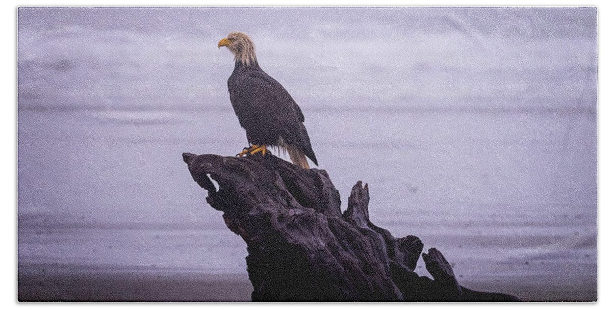 Bald Eagle Bath Towel featuring the photograph Bad Hair Day by Stephen Sloan