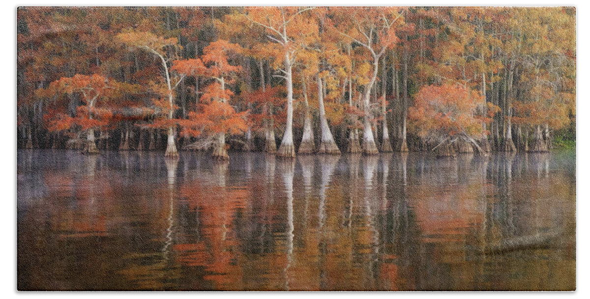 Landscape Bath Towel featuring the photograph Bald Cypress Bayou by Iris Greenwell