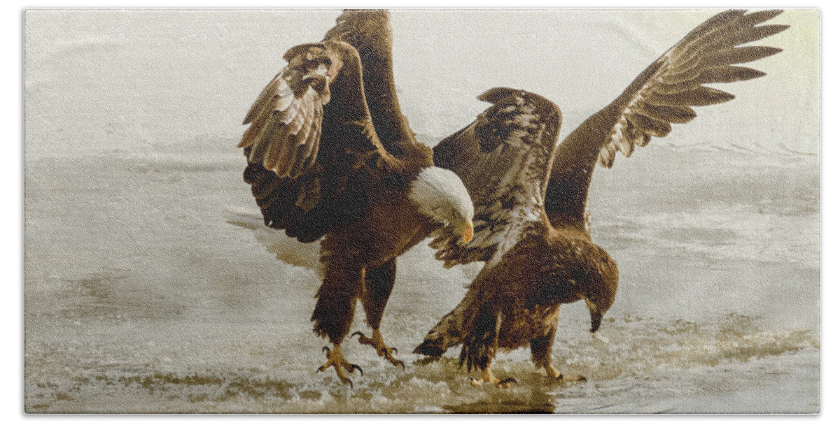 Bird Bath Towel featuring the photograph Bald Eagle Series #9 Ending The Attack by Patti Deters