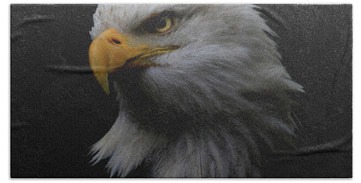 Bald Eagle Hand Towel featuring the photograph Bald Eagle Up Close by Steve McKinzie