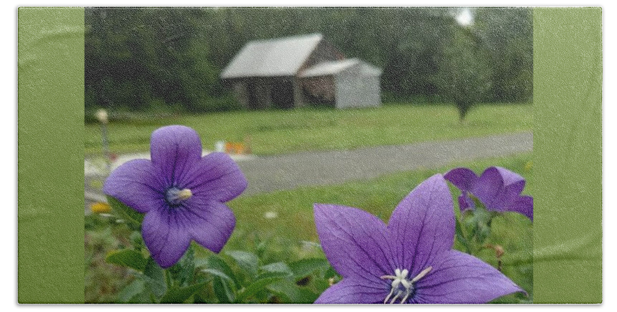 Balloon Flower Bath Towel featuring the photograph Balloon Flowers and Barn by Vicki Noble