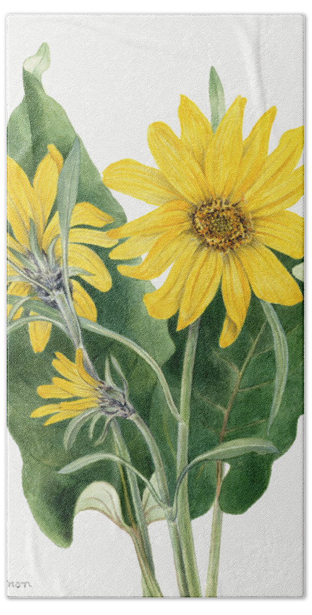 Balsamroot Bath Towel featuring the painting Balsamroot. By Mary Vaux Walcott by World Art Collective