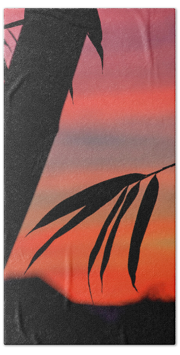 Asia Hand Towel featuring the photograph Bamboo silhouette by Jason KS Leung