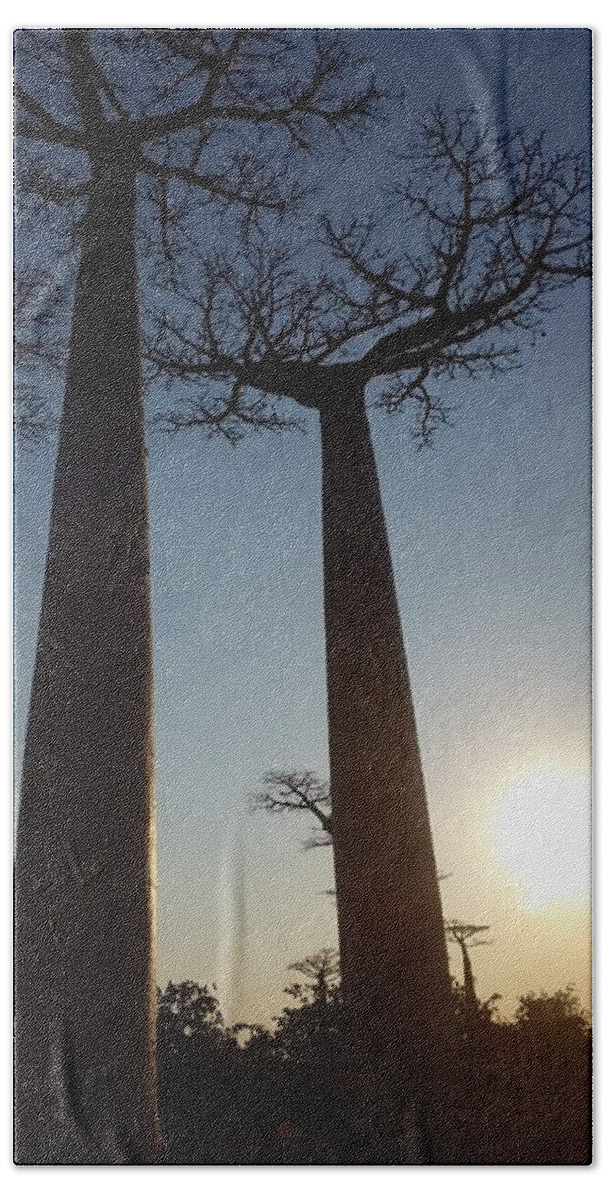 All Hand Towel featuring the digital art Baobab Alley at Sunset in Madagascar KN12 by Art Inspirity
