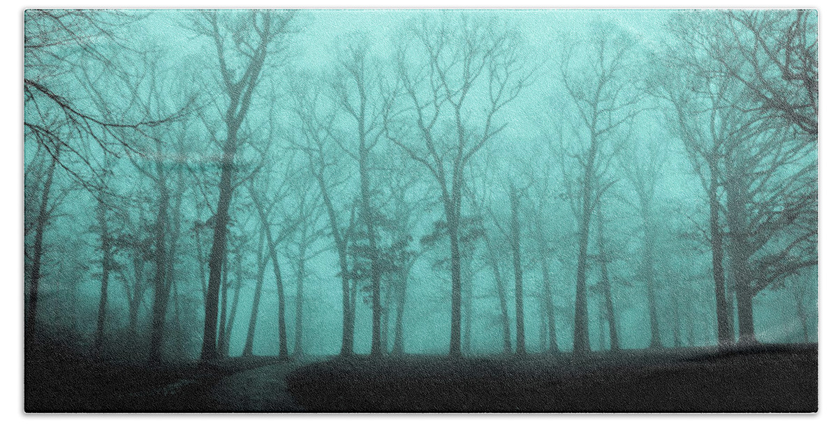 Bare Trees Foggy Morning Dellwood Park Lockport Illinois Bath Towel featuring the photograph Bare Trees on a Foggy Morning by David Morehead
