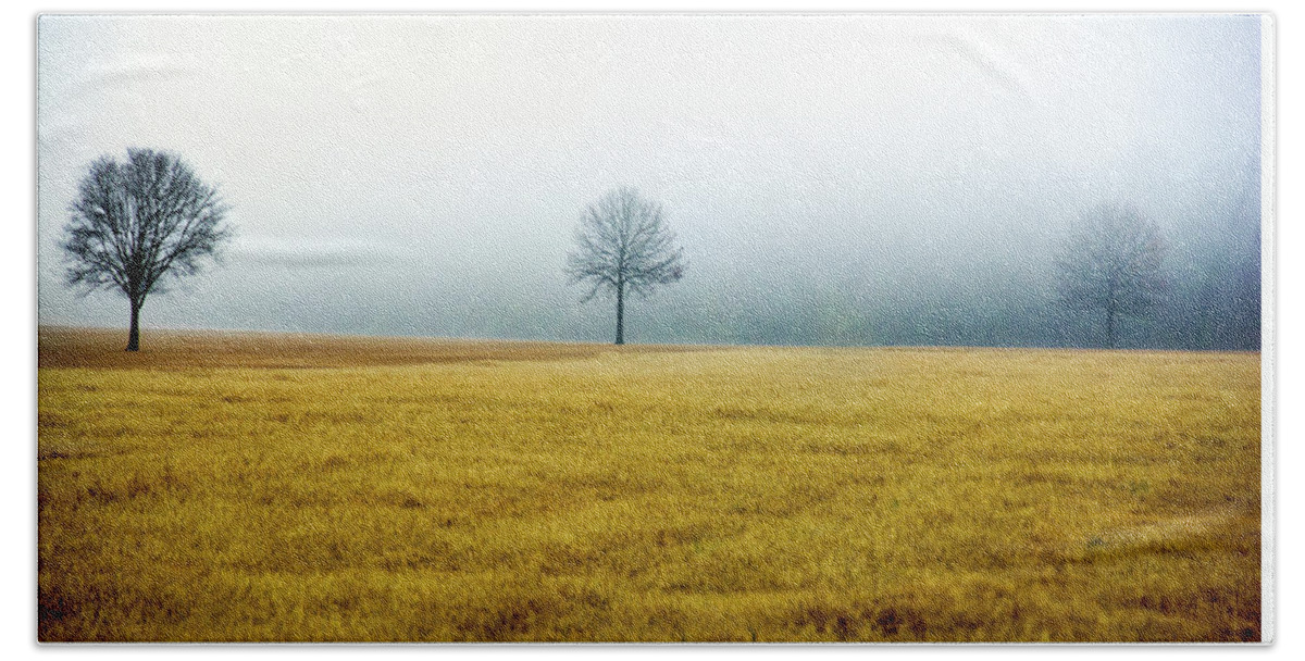 Winter Bath Towel featuring the photograph Bare Trees on Golden Grass by WAZgriffin Digital