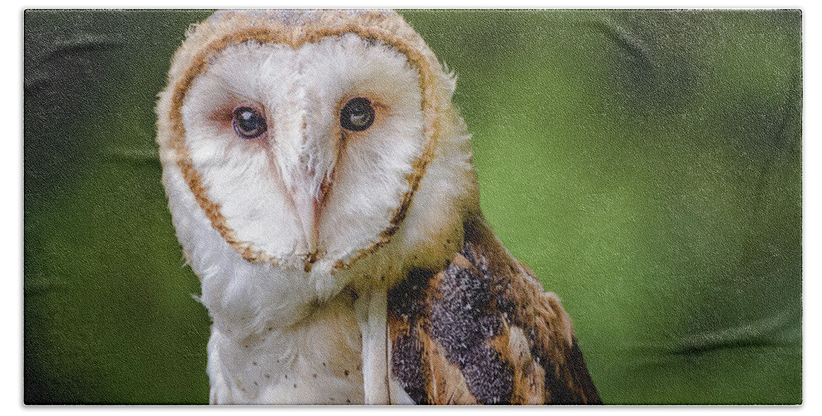 Raptors Owl Hawk Hand Towel featuring the photograph Barn owl eyes by Robert Miller