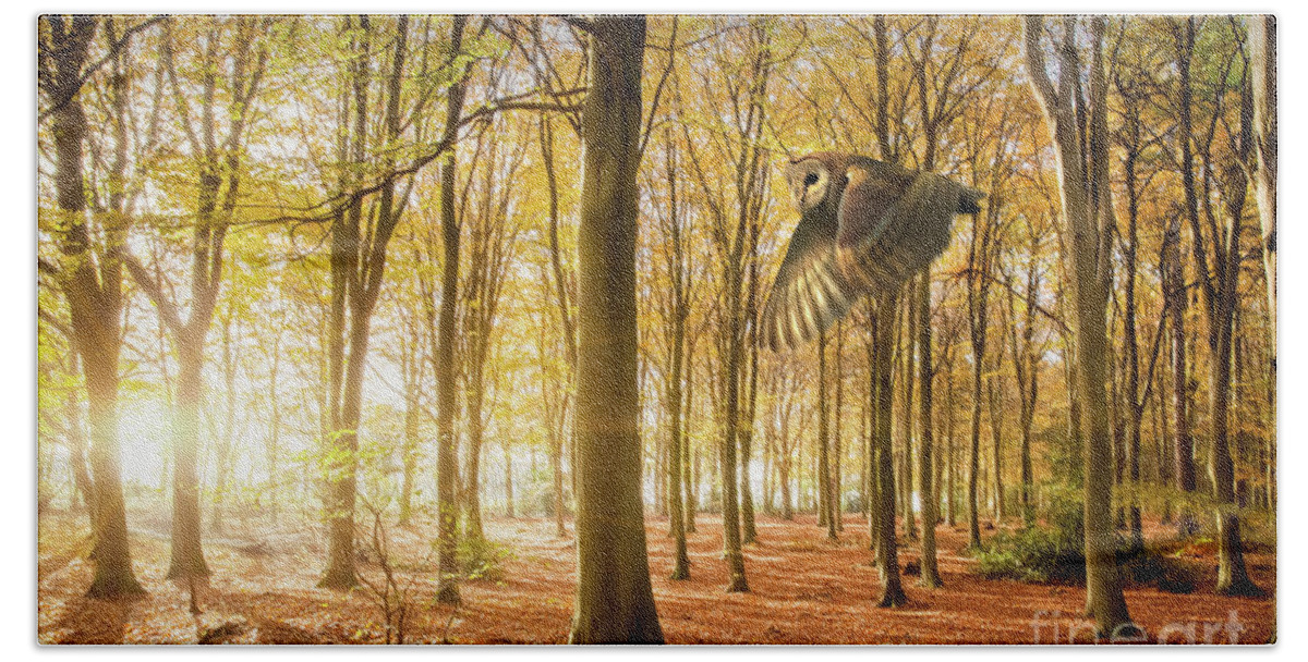 Autumn Bath Towel featuring the photograph Barn owl flying in autumn woodland by Simon Bratt