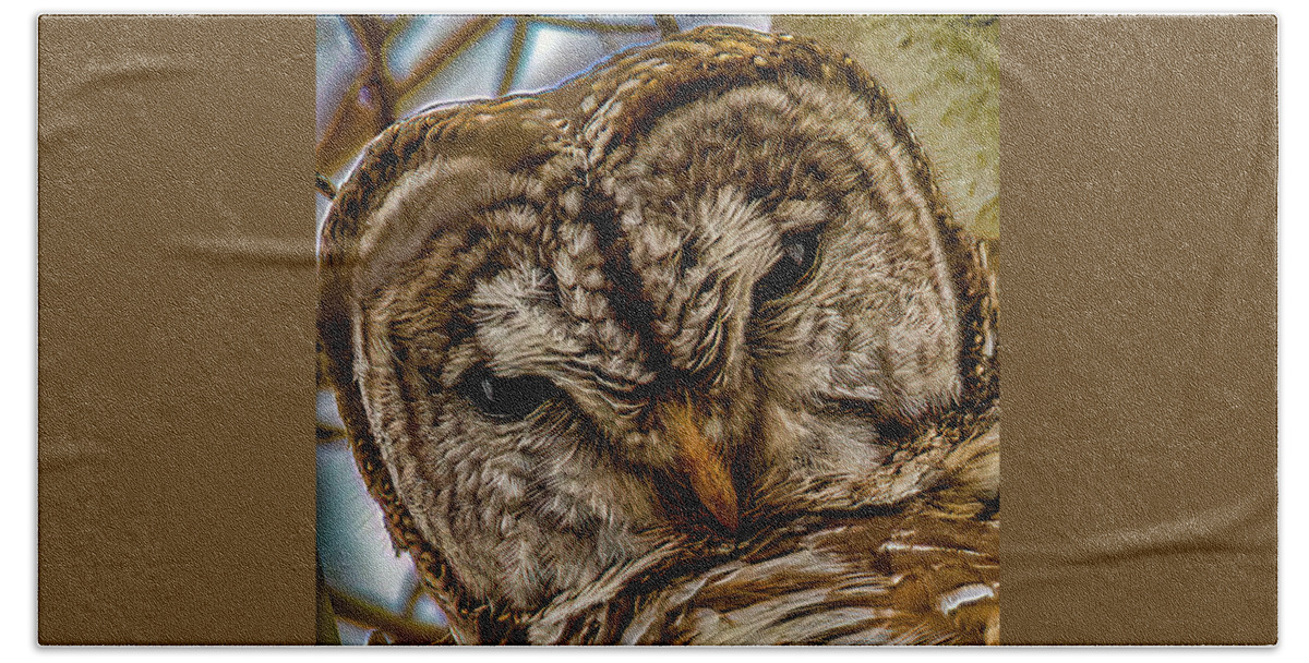 Animals Bath Towel featuring the photograph Barred Owl closeup by Brian Shoemaker