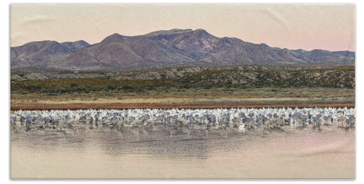 Fine Art Bath Towel featuring the photograph Basque del Apache Panorama III by Robert Harris