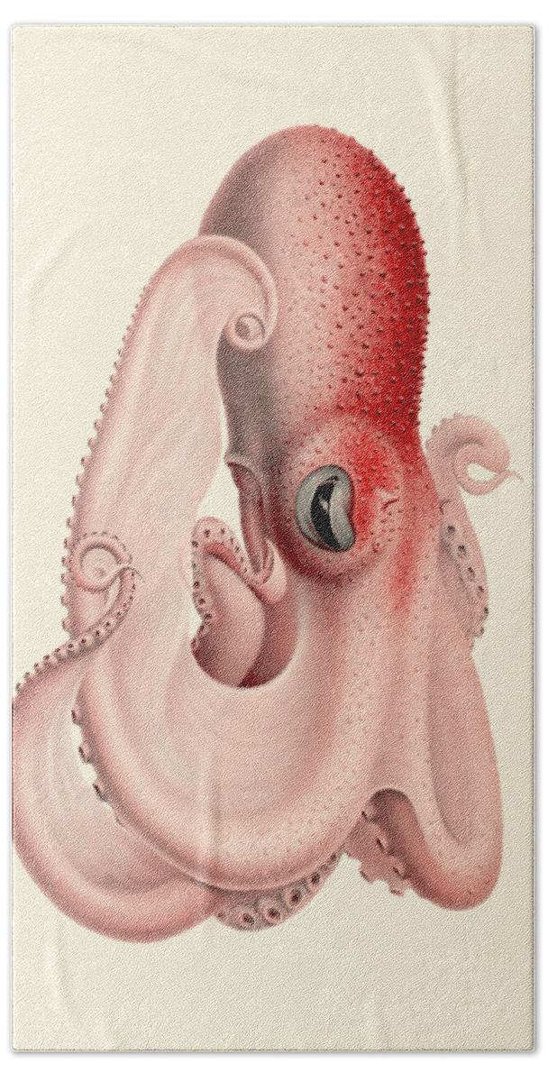 Octopus Hand Towel featuring the digital art Bathypolypus octopus by Madame Memento