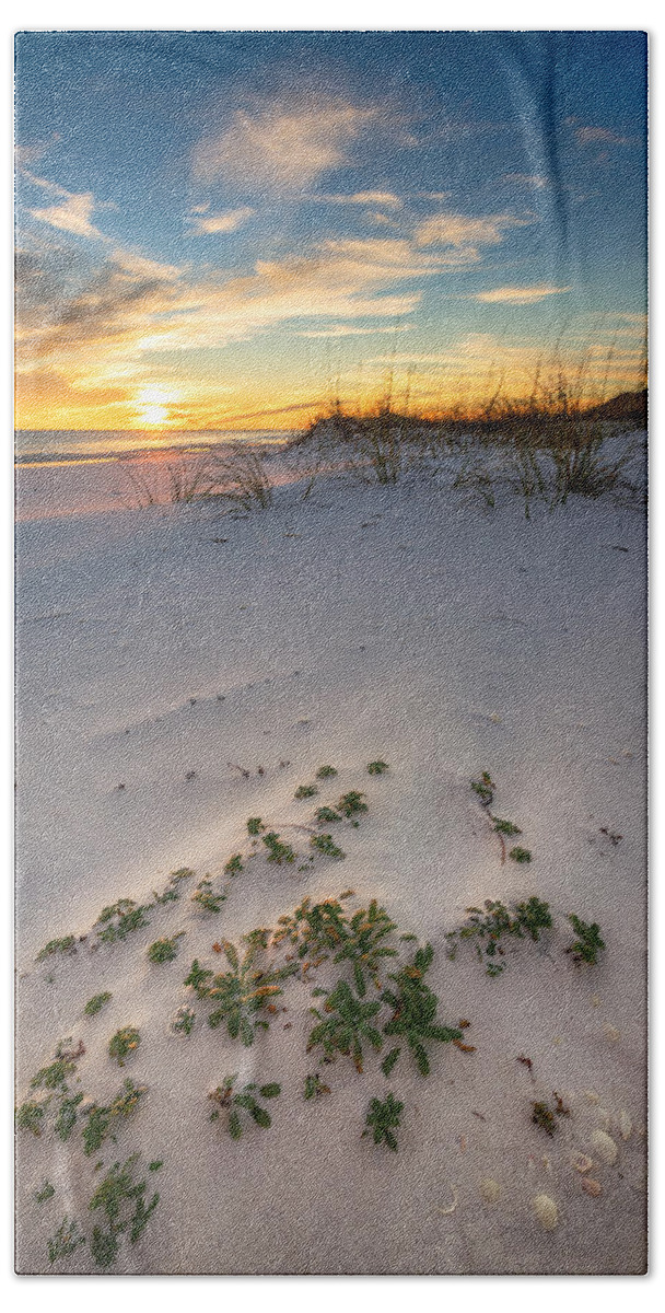 Florida Hand Towel featuring the photograph Beach Plants at Sunset by Mike Whalen