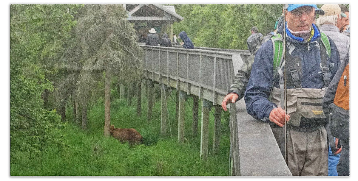 Brown Bears Frequenlty Walk Underneath The Boardwalks At Brooks Falls In Katmai National Park Alaska Grizzly Wooden Walk Way Walkway Fishermen Fish Man People Look On Bath Towel featuring the photograph Bear under the Boardwalk by Ed Stokes