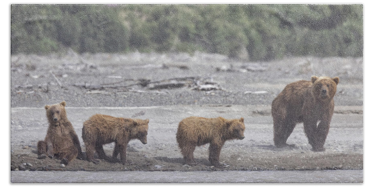 Alaska Bath Towel featuring the photograph Bears in a Sandstorm by Cheryl Strahl