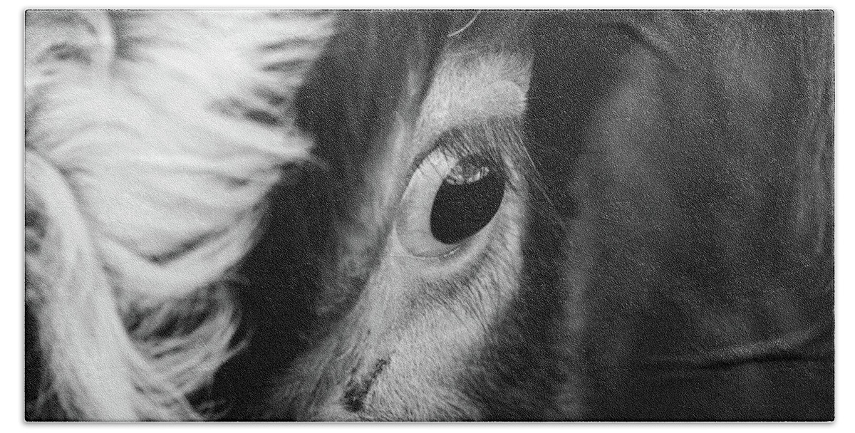 Livestock Hand Towel featuring the photograph Beautiful Eye of a Cow by Martin Vorel Minimalist Photography