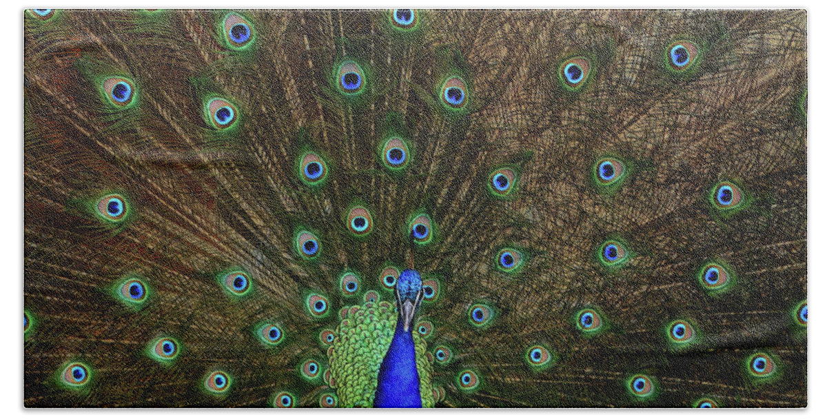 Peacock Bath Towel featuring the photograph Beautiful Peacock by Larry Marshall