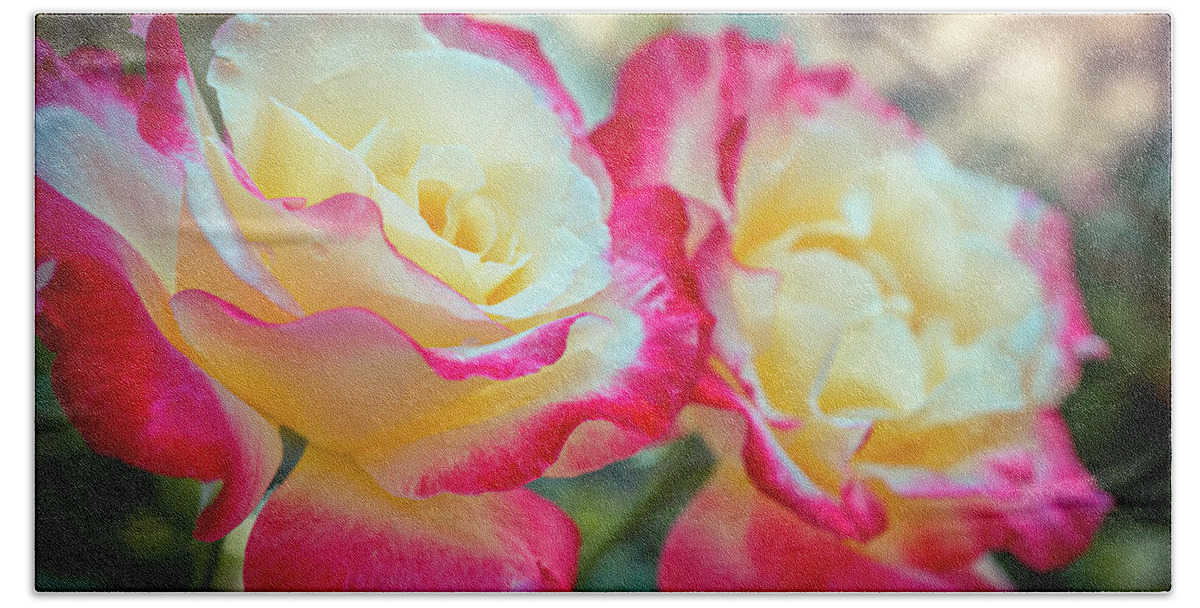 Beautiful Roses From My Garden Bath Towel featuring the photograph Beautiful roses from my Garden 1a by Lilia S