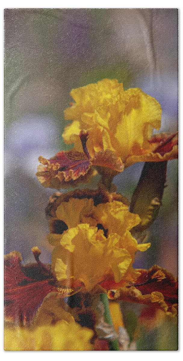 Jenny Rainbow Fine Art Photography Bath Towel featuring the photograph Beauty Of Irises. Magic Lamp 3 by Jenny Rainbow