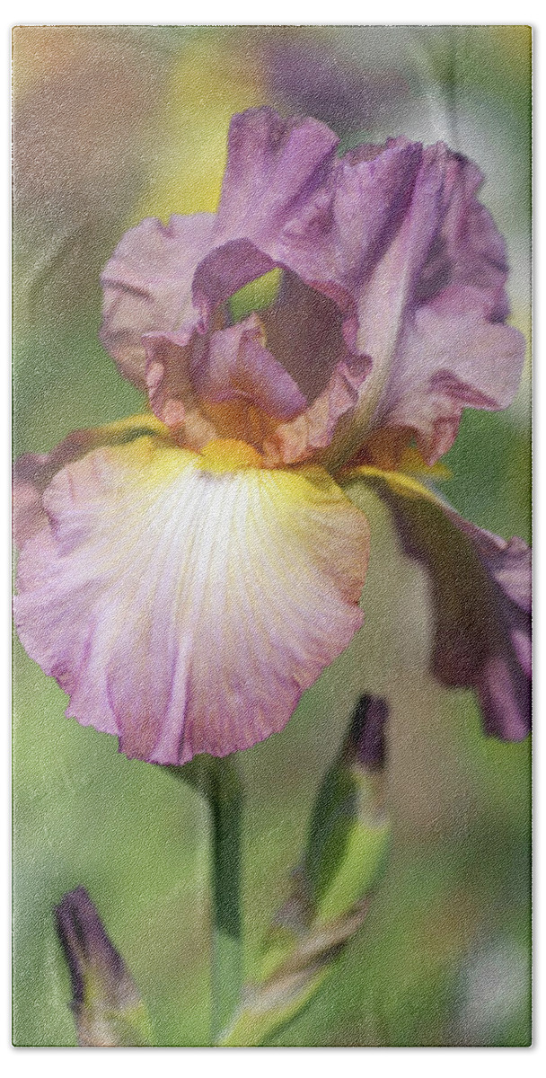 Jenny Rainbow Fine Art Photography Bath Towel featuring the photograph Beauty Of Irises. Souzvuk 1 by Jenny Rainbow