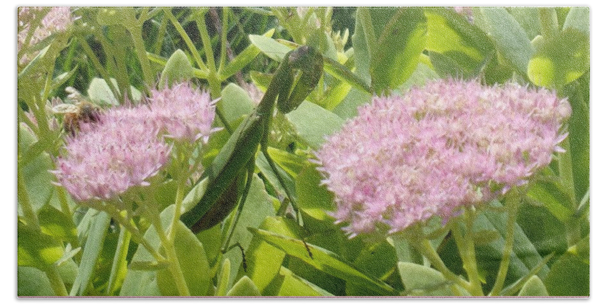 Bee Bath Towel featuring the photograph Bee and Mantis by Christopher Reed