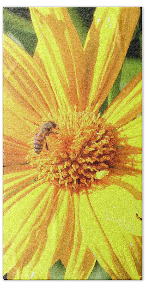 Nature Hand Towel featuring the photograph Bee At Work by Rick Redman