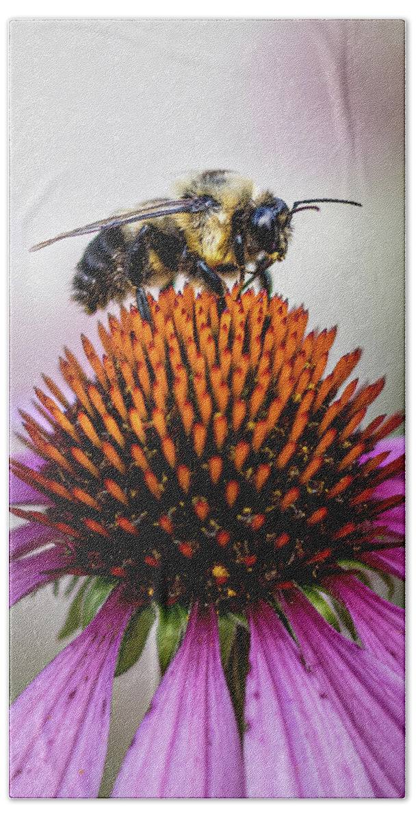 Bee Bath Towel featuring the photograph Bee claiming the flower by Rick Nelson