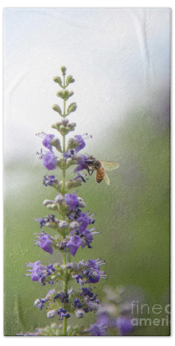Caste Tree Hand Towel featuring the photograph Bee on Lilac Chaste Tree Flower by Elisabeth Lucas