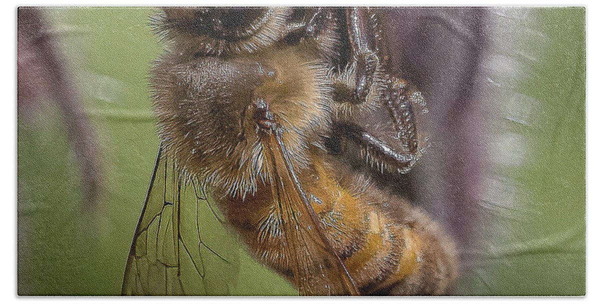 Honeybee Bath Towel featuring the photograph Bee on Starflower by Cheri Freeman