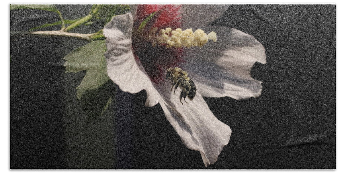 Nature Bath Towel featuring the digital art Bee pollen collector by Kathleen Illes
