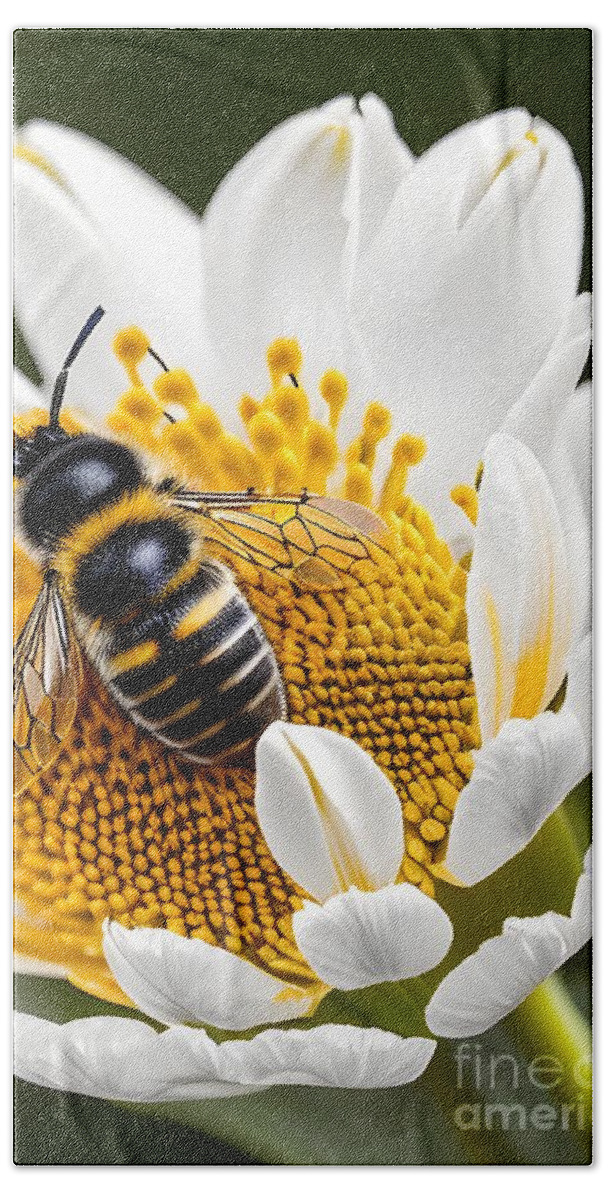 Bee-ware - Incredible Close Up of a Honey Bee Hard at Work Bath Towel by  Artvizual Premium - Fine Art America