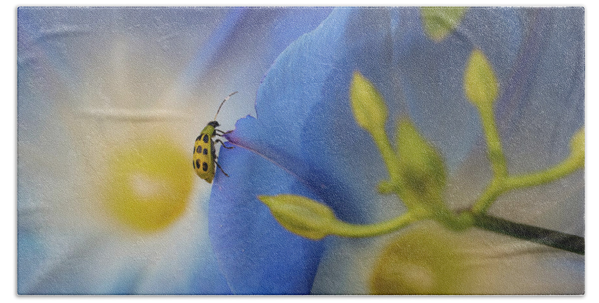 Beetle Hand Towel featuring the photograph Beetle and Morning Glory by Cheri Freeman